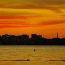 Skyline Sunset